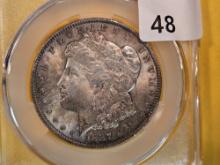 CAC! 1887 Morgan Dollar in Mint State 63