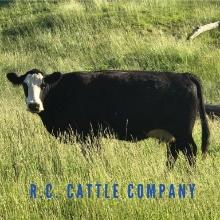 Donated by RC Cattle Company