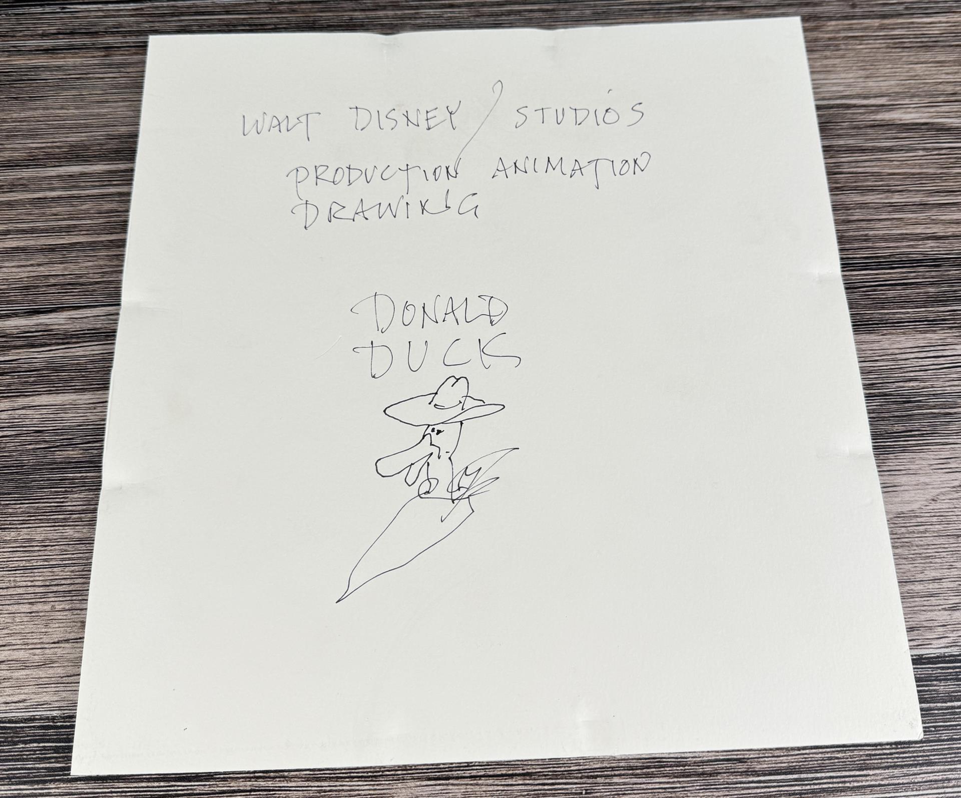 Walt Disney Studios Donald Duck Animation Drawing