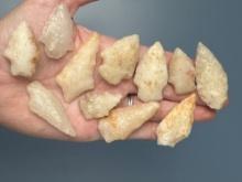 11 Nice Quartz Points, Arrowheads, Found in North Carolina, Longest is 2 1/8"