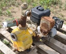 Teel Gas Powered Water Pump