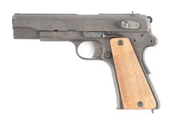 (C) NICE LATE WAR RADOM VIS-35 SEMI AUTOMATIC PISTOL WITH HOLSTER.