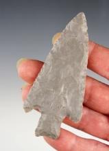 3 1/2" Buck Creek made from Hornstone. Found by Allen Selders in Knox Co., Indiana.  COA.