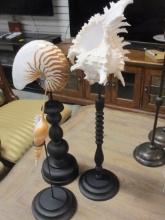 Three Specimen Seashells on Pedestals