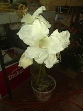 BL-Faux Amaryllis Flower