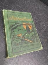Vintage book-Mother Nature Series In Field and Forest 1928