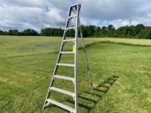 F.R. Stokes Aluminum Orchard Ladder 9ft