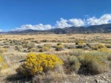 Embrace the Wild: 40 Acres of Serene High Desert in Elko County, Nevada!