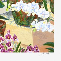 Orchids and Sunlight by Powell, John