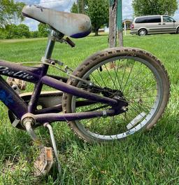 Girl's 20-inch Schwinn Bike