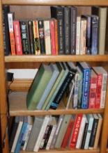Three Shelves of Novels and More