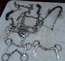 Horse Bit Grouping