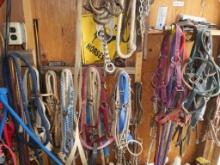 Contents of South Wall Of Tack Shed